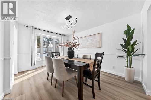 243 Highview Drive, Kitchener, ON - Indoor Photo Showing Dining Room