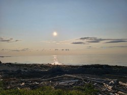 Bord de l'eau - 