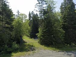 Dawson Road  Newport Corner, NS B0N 1L0