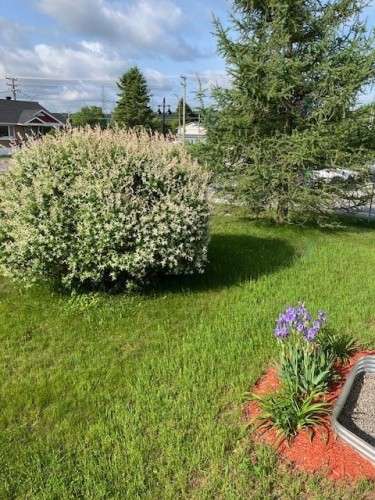 Vue d'ensemble - 202 Rue Des Pins, Prévost, QC - Outdoor