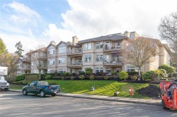 203-354 Morison Ave  Parksville, BC V9P 2V3