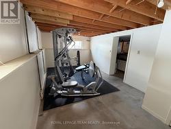 Bonus room in the basement - 