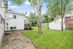 Backyard in the summer - 