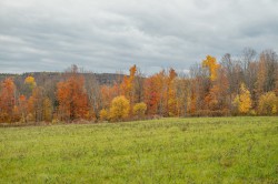 Vue d'ensemble - 