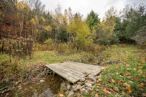 Wooded area - 1389 Ch. Dymond, Dunham, QC 