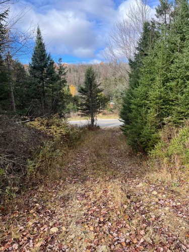 Extérieur - Route 323 N., Amherst, QC 