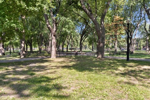 Nearby - 2295 Rue Rachel E., Montréal (Le Plateau-Mont-Royal), QC - Outdoor With View