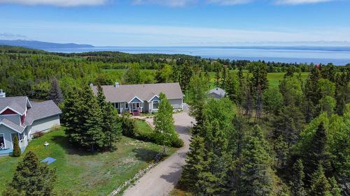 Vue d'ensemble - 3341 Route Du Fleuve, Les Éboulements, QC - Outdoor With View