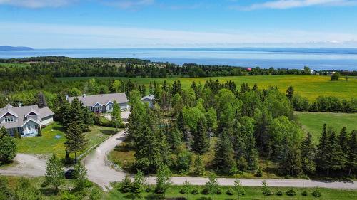 Vue d'ensemble - 3341 Route Du Fleuve, Les Éboulements, QC - Outdoor With View