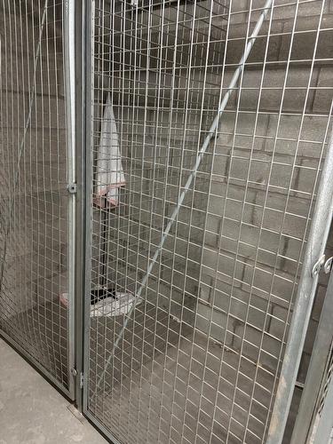 Storage - 437-1414 Rue Chomedey, Montréal (Ville-Marie), QC - Indoor Photo Showing Bathroom