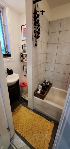 Salle de bains - 8621 Rue St-Denis, Montréal (Villeray/Saint-Michel/Parc-Extension), QC - Indoor