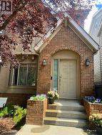 what the tree actaully looks like in summer - 