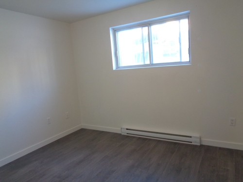 Chambre à coucher - 2-12383 Av. Lapierre, Montréal (Montréal-Nord), QC - Indoor Photo Showing Other Room