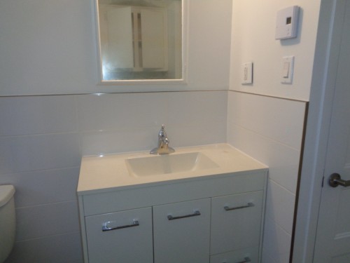 Salle de bains - 2-12383 Av. Lapierre, Montréal (Montréal-Nord), QC - Indoor Photo Showing Bathroom