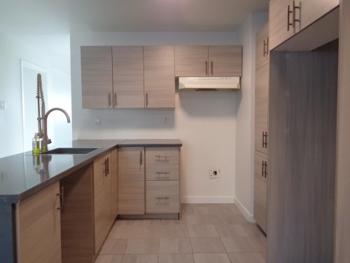 Cuisine - 2-12383 Av. Lapierre, Montréal (Montréal-Nord), QC - Indoor Photo Showing Kitchen