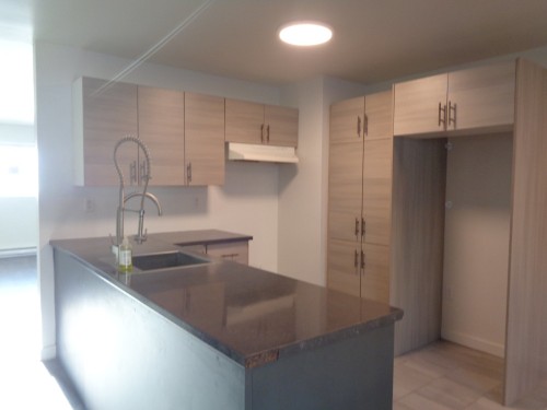 Cuisine - 2-12383 Av. Lapierre, Montréal (Montréal-Nord), QC - Indoor Photo Showing Kitchen