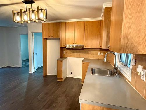 Kitchen - 167  - 167B 3E Avenue, L'Île-Perrot, QC - Indoor Photo Showing Kitchen