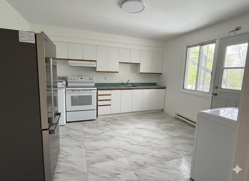 Cuisine - 4-4570 Rue Bélanger, Montréal (Rosemont/La Petite-Patrie), QC - Indoor Photo Showing Kitchen With Double Sink