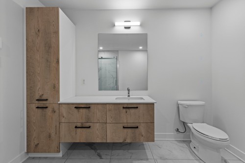 Salle de bains - 304-13225 Boul. Du Curé-Labelle, Mirabel, QC - Indoor Photo Showing Bathroom