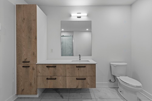 Bathroom - 205-13225 Boul. Du Curé-Labelle, Mirabel, QC - Indoor Photo Showing Bathroom