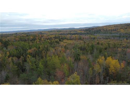 339 Mcminn Rd, Rollingdam, NB 