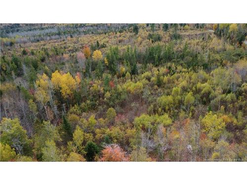 339 Mcminn Rd, Rollingdam, NB 