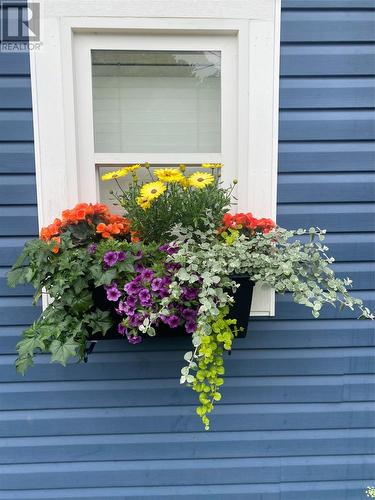32 Longs Hill, Carbonear, NL - Outdoor With Exterior