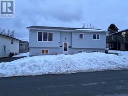 9 Jill Drive  Conception Bay South, NL A1X 7H4