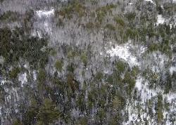 Lot Highway 208  New Germany, NS B0R 1G0