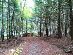 258 Moyle Mader Road  Maitland, NS B0J 1E0