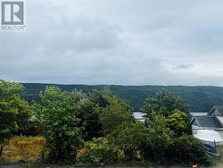 1253 Main Road  Dunville, NL A0B 1S0