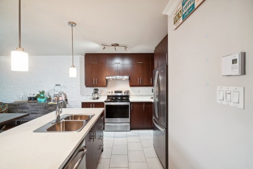 Kitchen - 201-9108 Rue Notre-Dame E., Montréal (Mercier/Hochelaga-Maisonneuve), QC - Indoor Photo Showing Kitchen With Double Sink