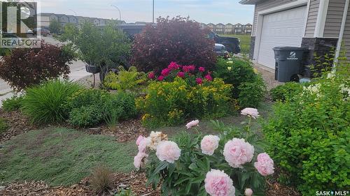 907 Werschner Crescent, Saskatoon, SK - Outdoor
