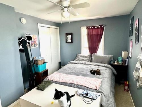 88 Ottawa Street, Summerside, PE 