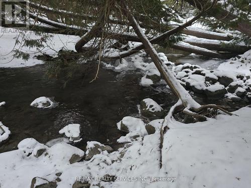 7 Shell Crescent, Mono, ON - Outdoor With View
