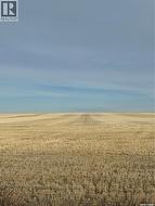 Alexander Two Quarters  Kindersley Rm No. 290, SK S0L 1S0