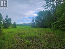 LOT C NORWOOD ROAD  Quesnel, BC V2J 7B9