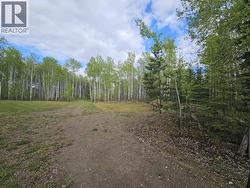 5600 Rifle Range Road Chetwynd, BC V0C 1J0