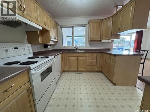 105 111 2Nd Avenue E, Rosetown, SK - Indoor Photo Showing Kitchen With Double Sink