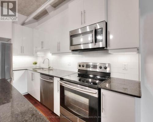 103 - 15 Devitt Avenue S, Waterloo, ON - Indoor Photo Showing Kitchen With Upgraded Kitchen