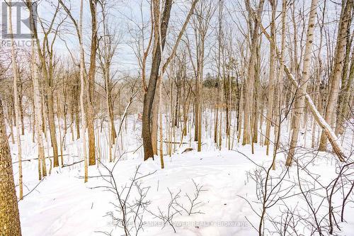 17 - 1337 Commissioners Road W, London South (South B), ON - Outdoor With View