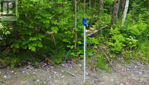 Lot 52 Tiny Beaches Road N, Tiny, ON 