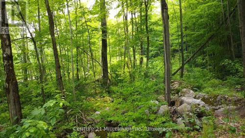 Lot 52 Tiny Beaches Road N, Tiny, ON 