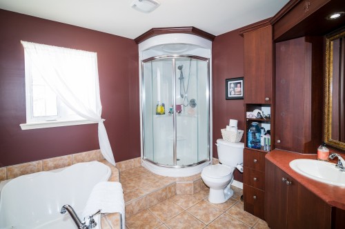 Salle de bains - 15 Rue Garneau, Saint-Pacôme, QC - Indoor Photo Showing Bathroom