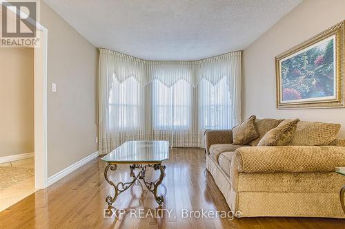 211 Rushdale Drive, Hamilton, ON - Indoor Photo Showing Living Room