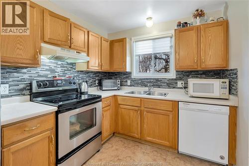 2665 Robert, Windsor, ON - Indoor Photo Showing Kitchen With Double Sink
