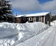 31 Marshalls Drive  Bishops's Falls, NL A0H 1C0