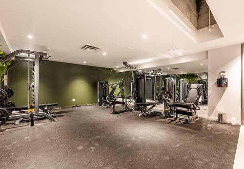 Exercise room - 317-288 Rue Richmond, Montréal (Le Sud-Ouest), QC - Indoor Photo Showing Gym Room
