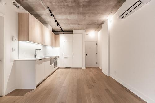 Overall view - 317-288 Rue Richmond, Montréal (Le Sud-Ouest), QC - Indoor