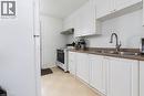 341 Corvette Street, Welland, ON  - Indoor Photo Showing Kitchen With Double Sink 